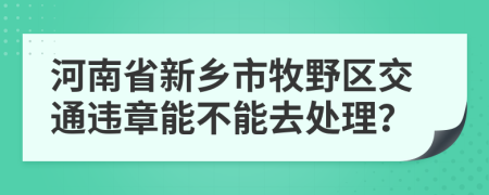 河南省新乡市牧野区交通违章能不能去处理？