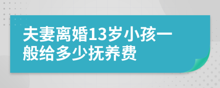 夫妻离婚13岁小孩一般给多少抚养费