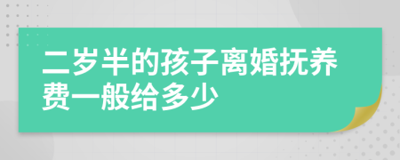 二岁半的孩子离婚抚养费一般给多少