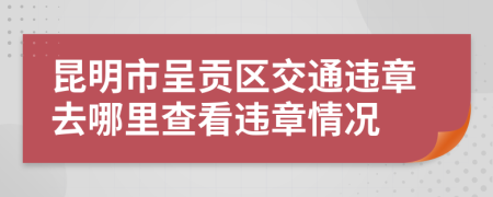 昆明市呈贡区交通违章去哪里查看违章情况