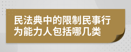 民法典中的限制民事行为能力人包括哪几类