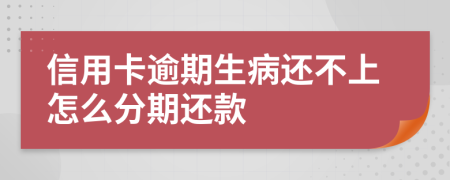信用卡逾期生病还不上怎么分期还款