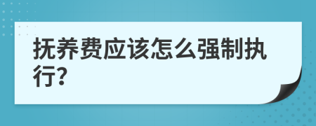 抚养费应该怎么强制执行？