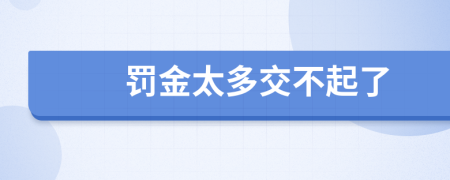 罚金太多交不起了