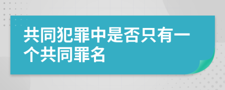 共同犯罪中是否只有一个共同罪名