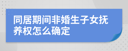 同居期间非婚生子女抚养权怎么确定