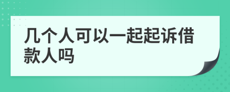 几个人可以一起起诉借款人吗