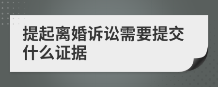 提起离婚诉讼需要提交什么证据