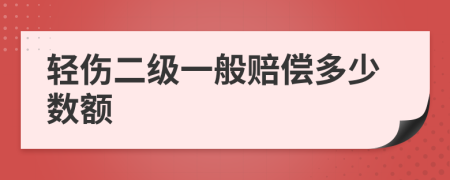 轻伤二级一般赔偿多少数额