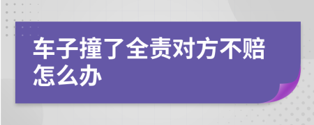 车子撞了全责对方不赔怎么办