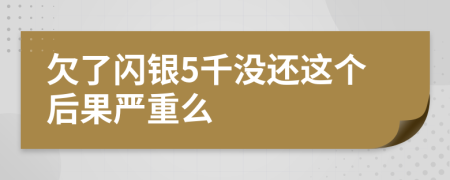 欠了闪银5千没还这个后果严重么