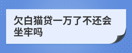 欠白猫贷一万了不还会坐牢吗