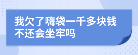 我欠了嗨袋一千多块钱不还会坐牢吗