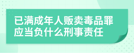 已满成年人贩卖毒品罪应当负什么刑事责任