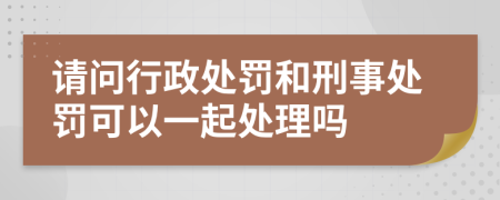 请问行政处罚和刑事处罚可以一起处理吗