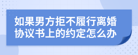 如果男方拒不履行离婚协议书上的约定怎么办