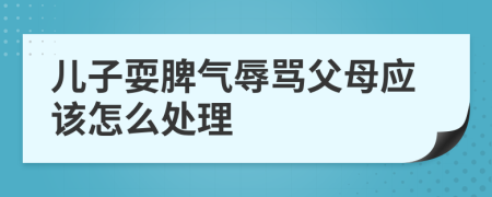 儿子耍脾气辱骂父母应该怎么处理