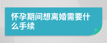 怀孕期间想离婚需要什么手续