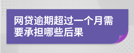 网贷逾期超过一个月需要承担哪些后果