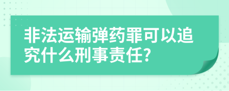 非法运输弹药罪可以追究什么刑事责任?