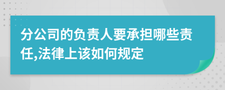 分公司的负责人要承担哪些责任,法律上该如何规定