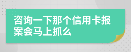 咨询一下那个信用卡报案会马上抓么