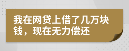 我在网贷上借了几万块钱，现在无力偿还