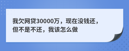 我欠网贷30000万，现在没钱还，但不是不还，我该怎么做