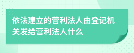 依法建立的营利法人由登记机关发给营利法人什么