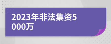 2023年非法集资5000万