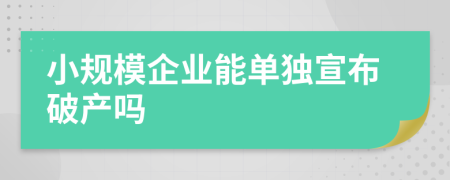 小规模企业能单独宣布破产吗