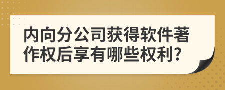 内向分公司获得软件著作权后享有哪些权利?