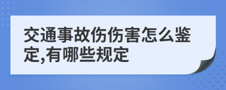 交通事故伤伤害怎么鉴定,有哪些规定