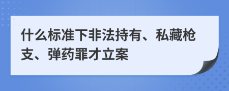 什么标准下非法持有、私藏枪支、弹药罪才立案