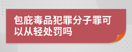 包庇毒品犯罪分子罪可以从轻处罚吗
