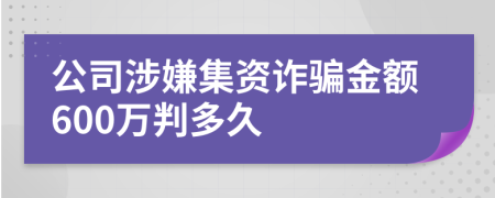 公司涉嫌集资诈骗金额600万判多久