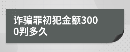 诈骗罪初犯金额3000判多久