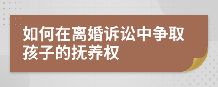 如何在离婚诉讼中争取孩子的抚养权