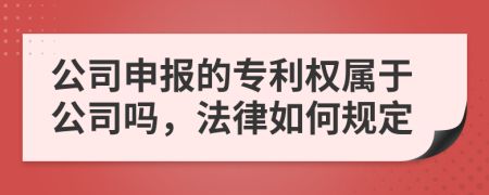 公司申报的专利权属于公司吗，法律如何规定