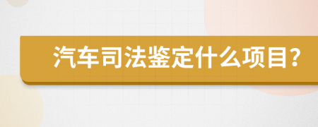 汽车司法鉴定什么项目？