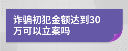 诈骗初犯金额达到30万可以立案吗