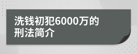 洗钱初犯6000万的刑法简介