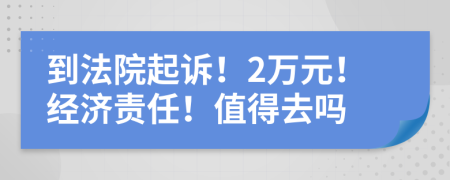 到法院起诉！2万元！经济责任！值得去吗