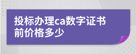 投标办理ca数字证书前价格多少