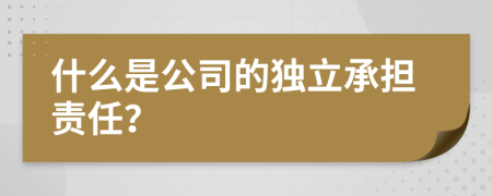 什么是公司的独立承担责任？