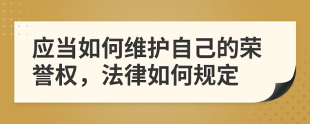 应当如何维护自己的荣誉权，法律如何规定