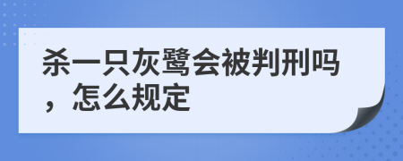 杀一只灰鹭会被判刑吗，怎么规定