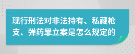 现行刑法对非法持有、私藏枪支、弹药罪立案是怎么规定的