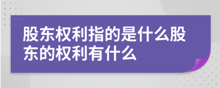 股东权利指的是什么股东的权利有什么