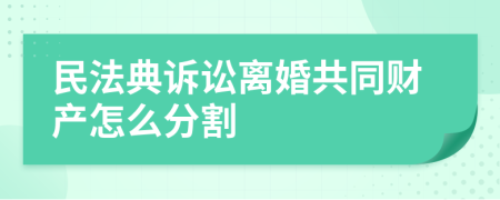 民法典诉讼离婚共同财产怎么分割